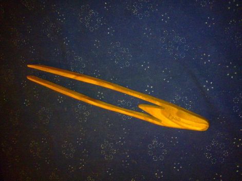 csipesz.jpg csipesz.jpg