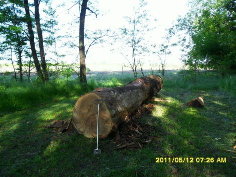 kecel_20110521_001.jpg kecel_20110521_001.jpg