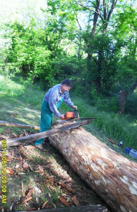 kecel_20110521_007.jpg kecel_20110521_007.jpg