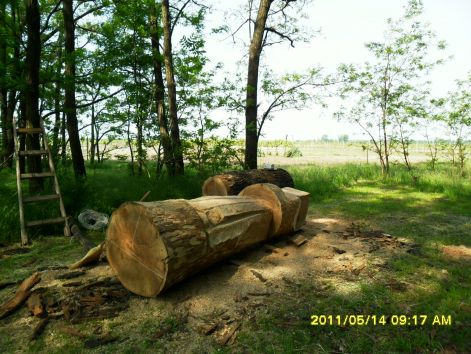 kecel_20110521_018.jpg kecel_20110521_018.jpg