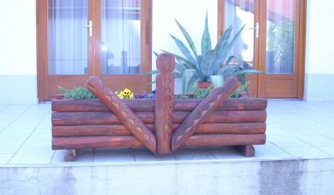 viraglada.jpg viraglada.jpg